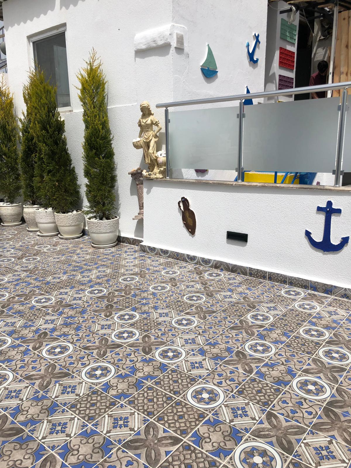 Teras katı