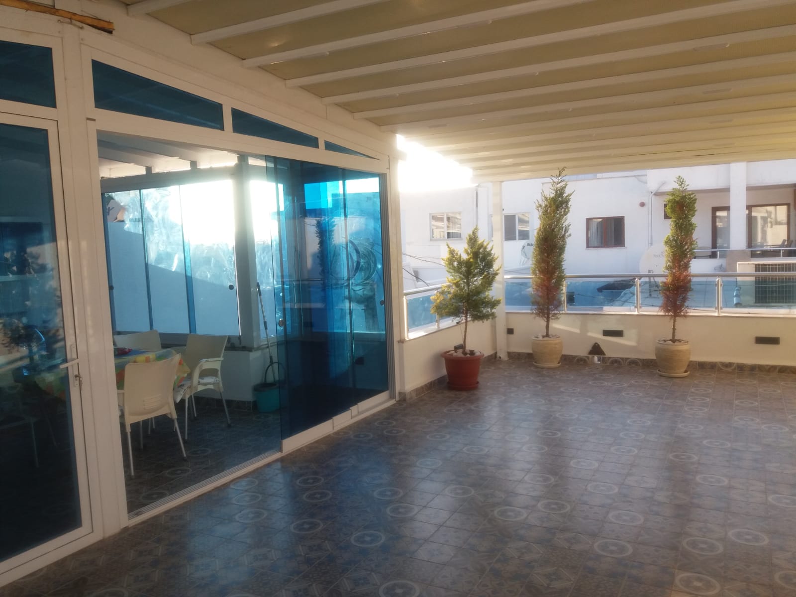 Teras katı