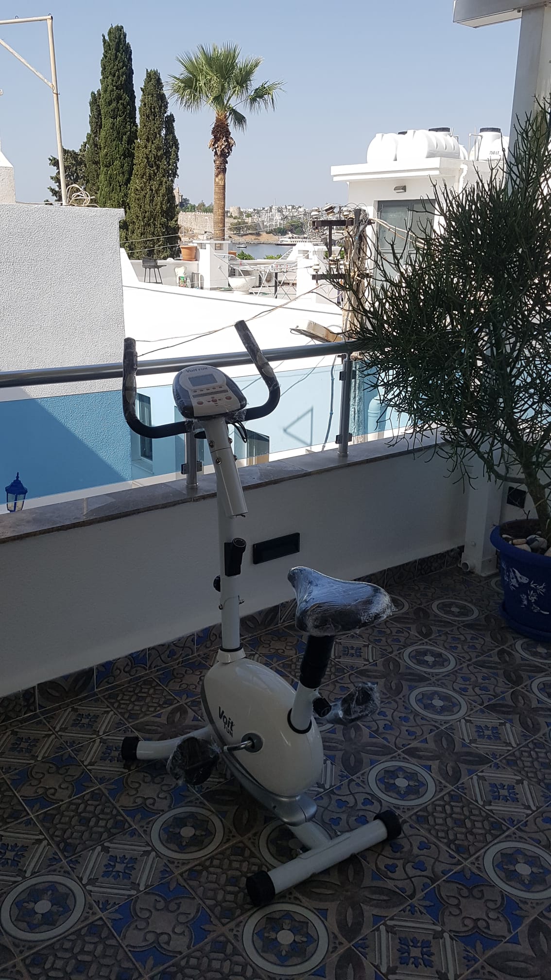 Teras katı